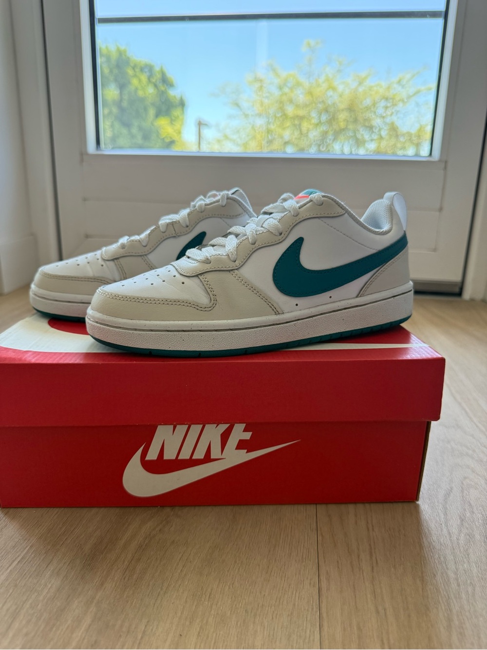 Nike Court Borough Low 2